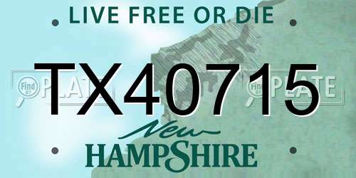 TX40715 New Hampshire License Plate