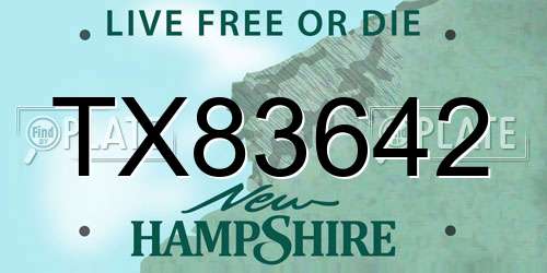 TX83642 New Hampshire License Plate