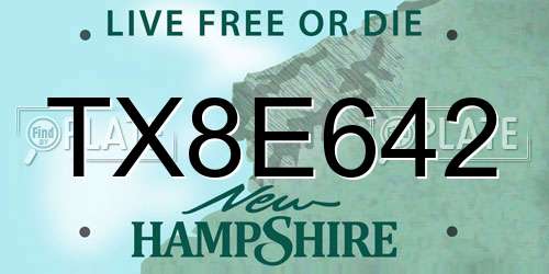 TX8E642 New Hampshire License Plate