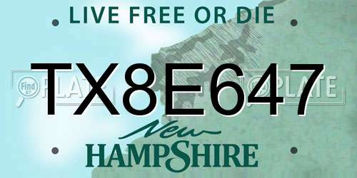 TX8E647 New Hampshire License Plate
