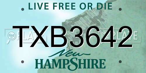 TXB3642 New Hampshire License Plate