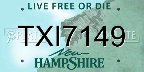 TXI7149 New Hampshire License Plate
