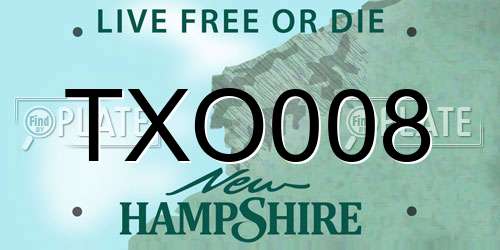 TXO008 New Hampshire License Plate