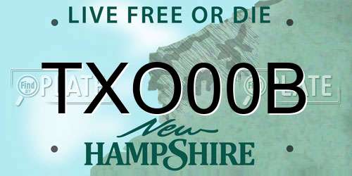 TXO00B New Hampshire License Plate