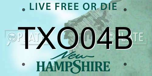 TXO04B New Hampshire License Plate