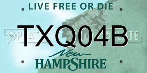 TXQ04B New Hampshire License Plate