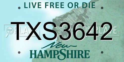 TXS3642 New Hampshire License Plate