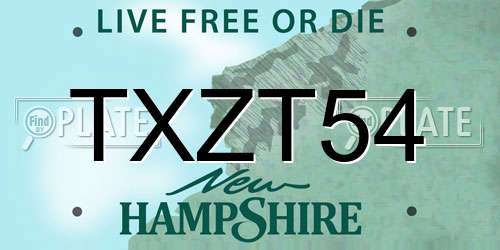 TXZT54 New Hampshire License Plate