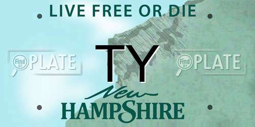 TY New Hampshire License Plate