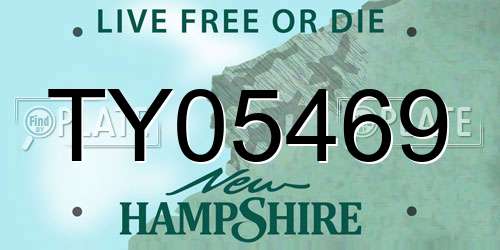 TY05469 New Hampshire License Plate