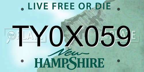 TY0X059 New Hampshire License Plate