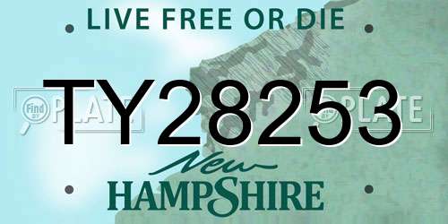 TY28253 New Hampshire License Plate