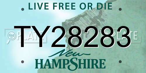 TY28283 New Hampshire License Plate
