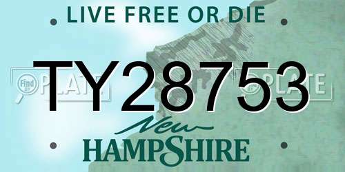 TY28753 New Hampshire License Plate