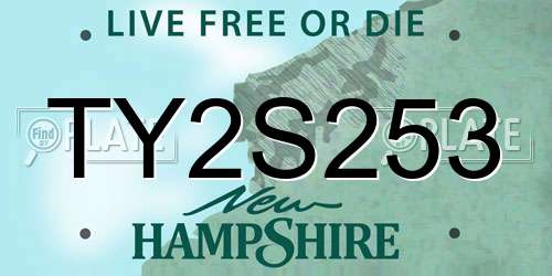 TY2S253 New Hampshire License Plate