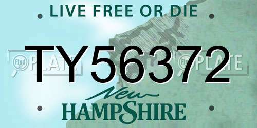 TY56372 New Hampshire License Plate