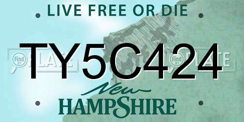 TY5C424 New Hampshire License Plate