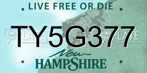 TY5G377 New Hampshire License Plate