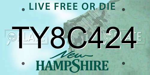 TY8C424 New Hampshire License Plate