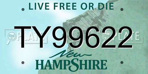 TY99622 New Hampshire License Plate