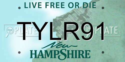 TYLR91 New Hampshire License Plate