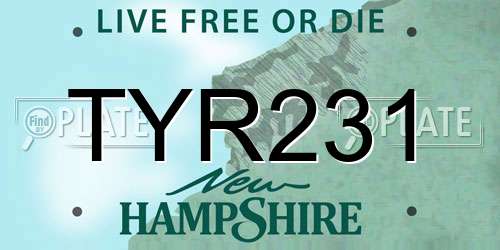 TYR231 New Hampshire License Plate