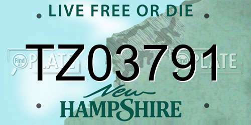 TZ03791 New Hampshire License Plate
