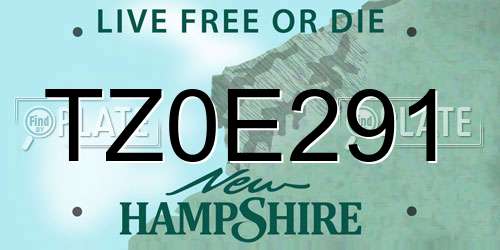 TZ0E291 New Hampshire License Plate