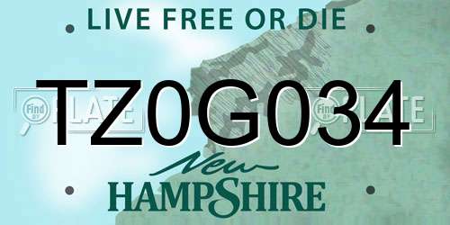 TZ0G034 New Hampshire License Plate