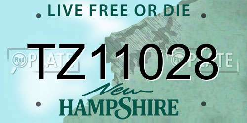 TZ11028 New Hampshire License Plate