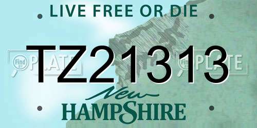 TZ21313 New Hampshire License Plate