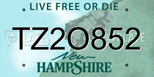 TZ2O852 New Hampshire License Plate