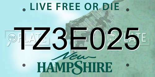 TZ3E025 New Hampshire License Plate