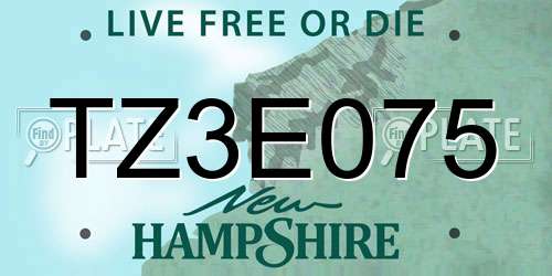 TZ3E075 New Hampshire License Plate