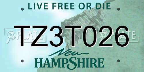 TZ3T026 New Hampshire License Plate