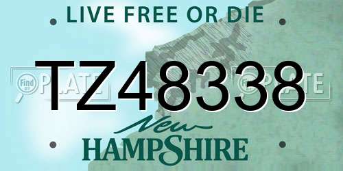 TZ48338 New Hampshire License Plate