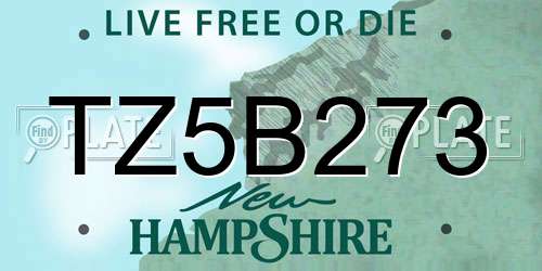 TZ5B273 New Hampshire License Plate
