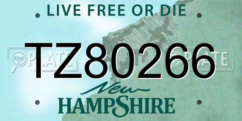 TZ80266 New Hampshire License Plate