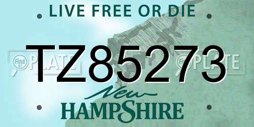 TZ85273 New Hampshire License Plate