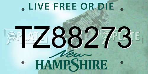 TZ88273 New Hampshire License Plate