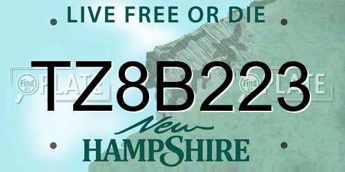 TZ8B223 New Hampshire License Plate