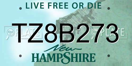 TZ8B273 New Hampshire License Plate