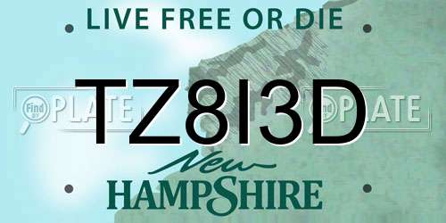 TZ8I3D New Hampshire License Plate