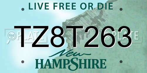TZ8T263 New Hampshire License Plate