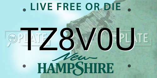 TZ8V0U New Hampshire License Plate