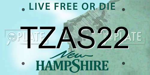 TZAS22 New Hampshire License Plate