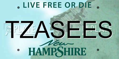 TZASEES New Hampshire License Plate