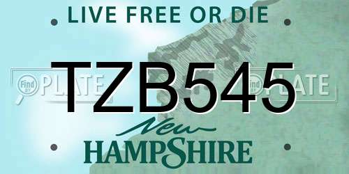 TZB545 New Hampshire License Plate