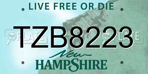 TZB8223 New Hampshire License Plate