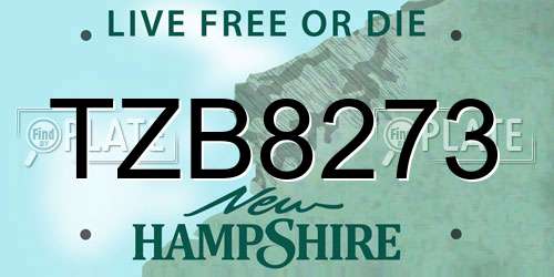 TZB8273 New Hampshire License Plate